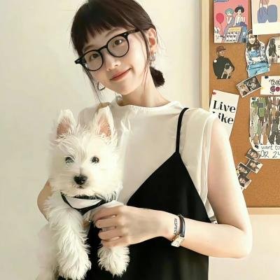 陆昭昭的刺客笔记